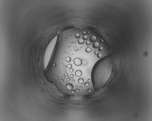 X0000116340671200912221442