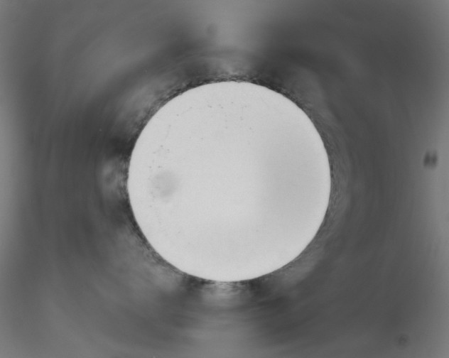 X0000116340672200912221442