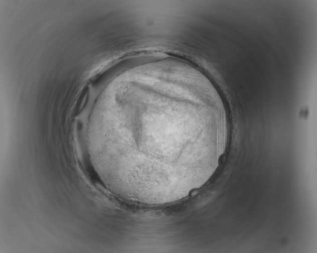 X0000116340673200912221441