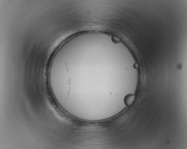 X0000116340674200912221441