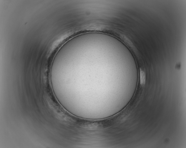 X0000116340675200912221441