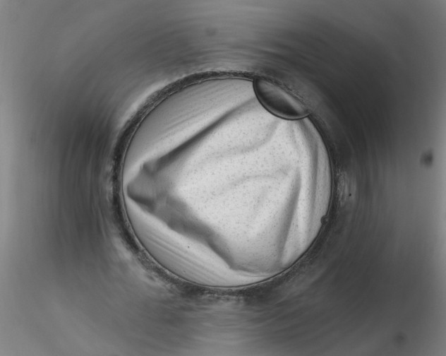 X0000116340676200912221441