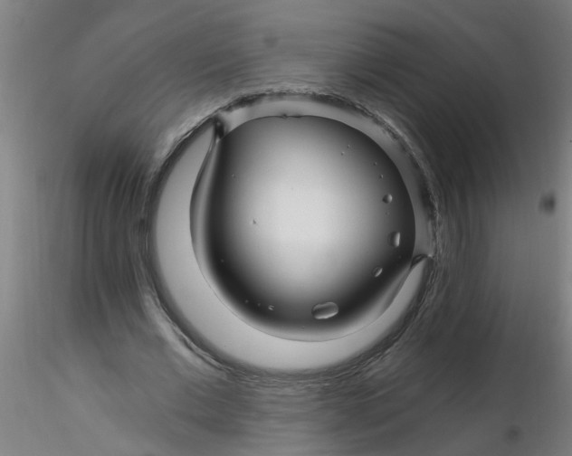 X0000116340677200912221441