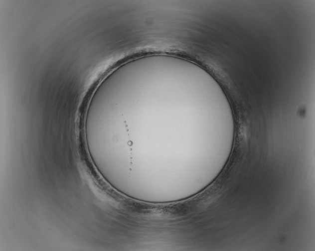 X0000116340678200912221441