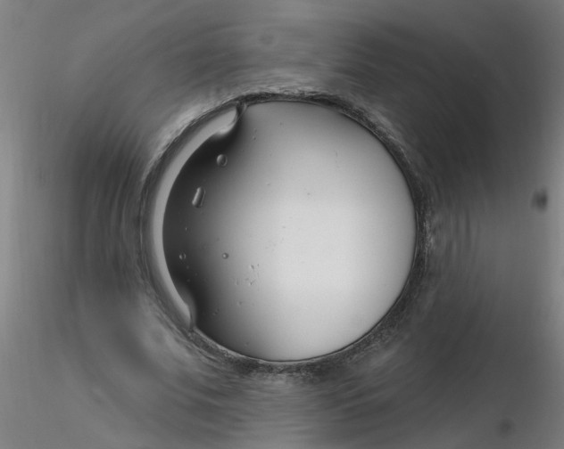 X0000116340679200912221441