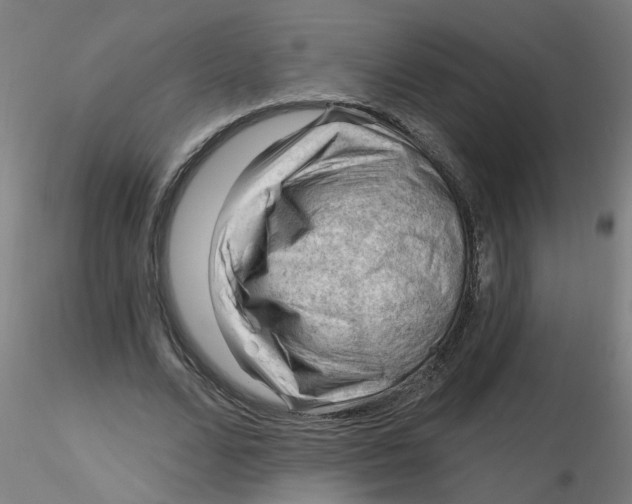 X0000116340680200912221441