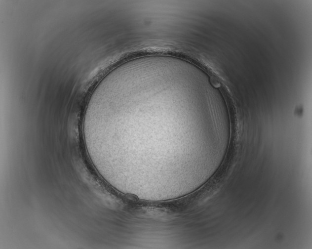 X0000116340681200912221441