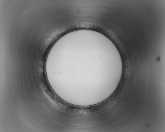 X0000116340683200912221441