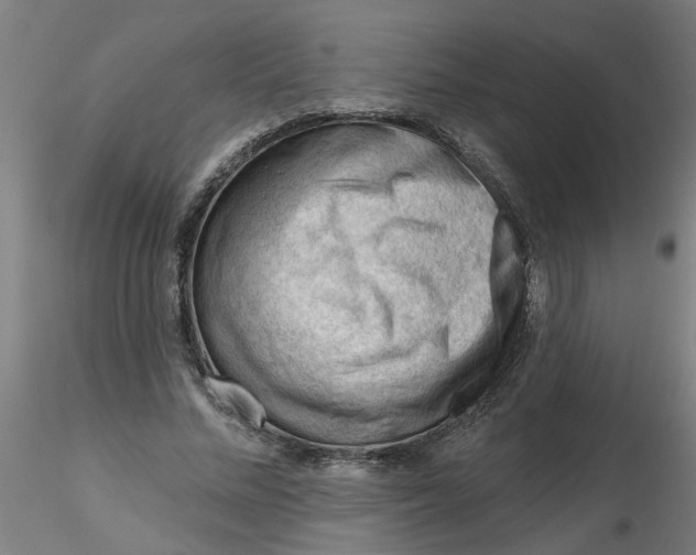 X0000116340684200912221441