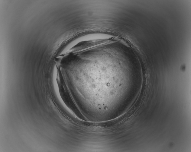 X0000116340685200912221441