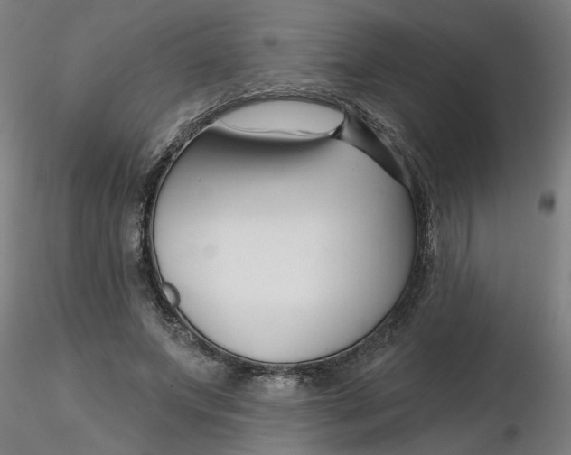 X0000116340687200912221441