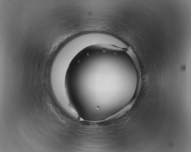 X0000116340688200912221441