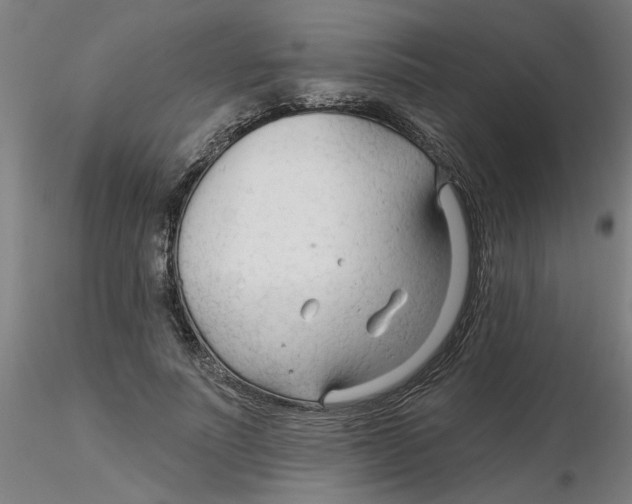 X0000116340691200912221441