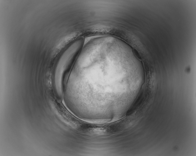 X0000116340692200912221441