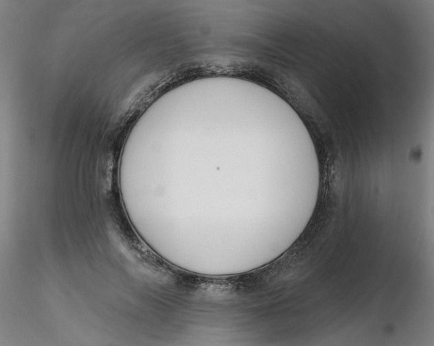 X0000116340694200912221441