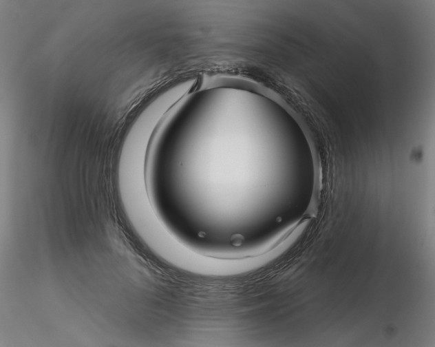 X0000116340696200912221441