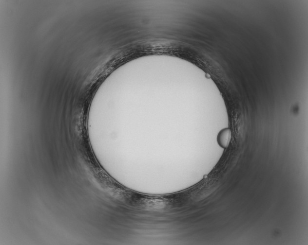 X0000116340698200912221441