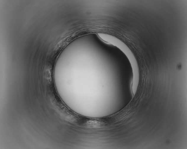 X0000116340699200912221441