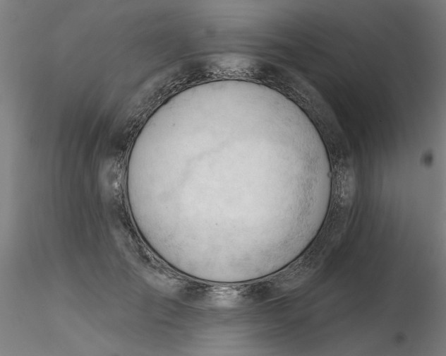 X0000116340701200912221441