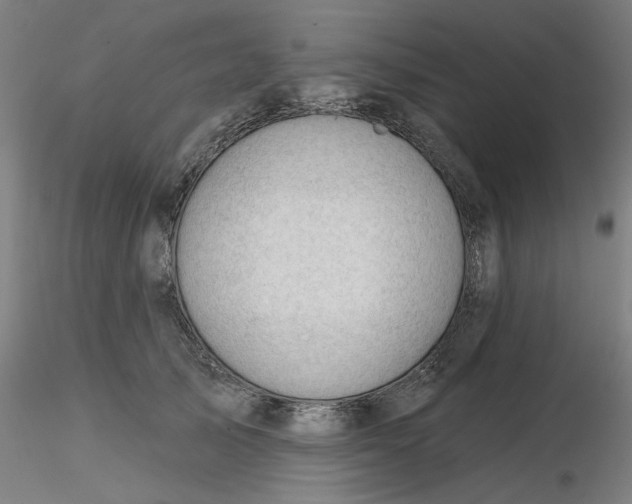 X0000116340705200912221441