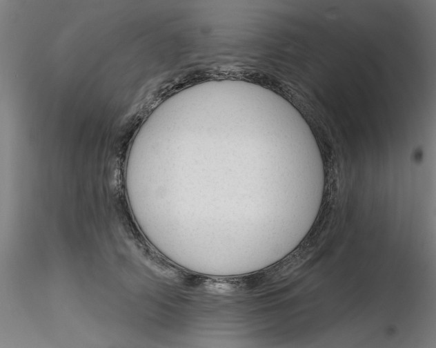 X0000116340706200912221441