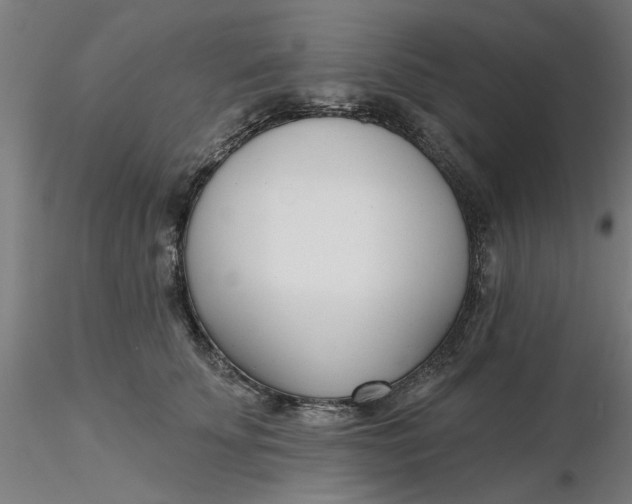 X0000116340707200912221441