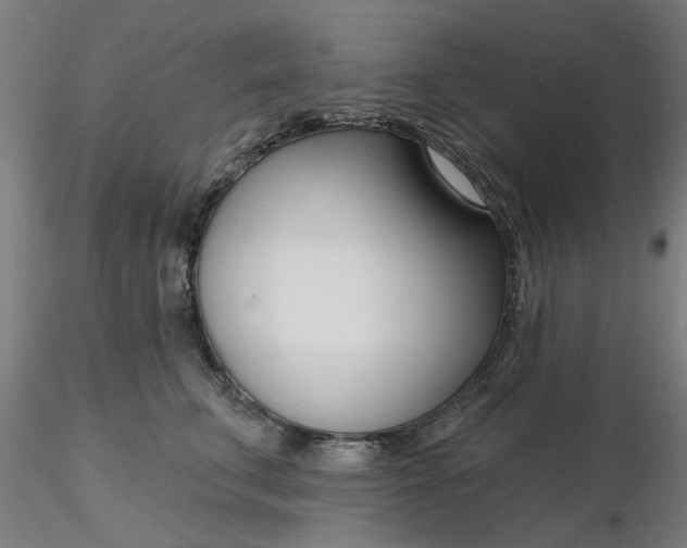 X0000116340711200912221441