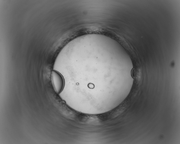 X0000116340715200912221441