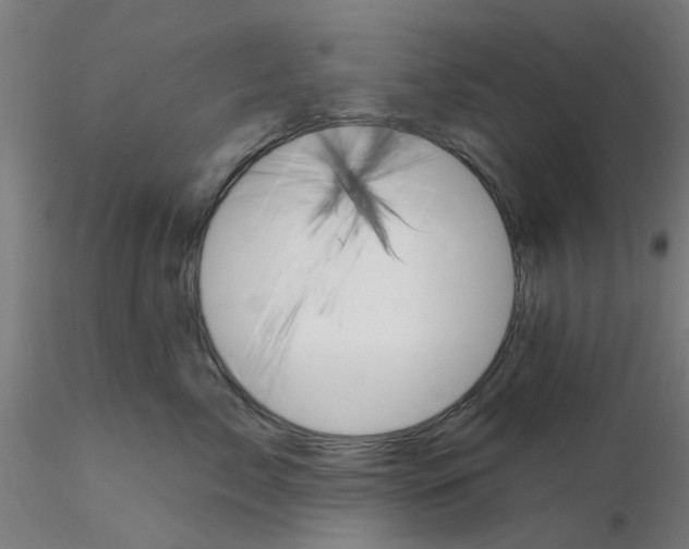 X0000116340717200912221441