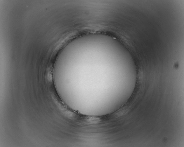 X0000116340719200912221441