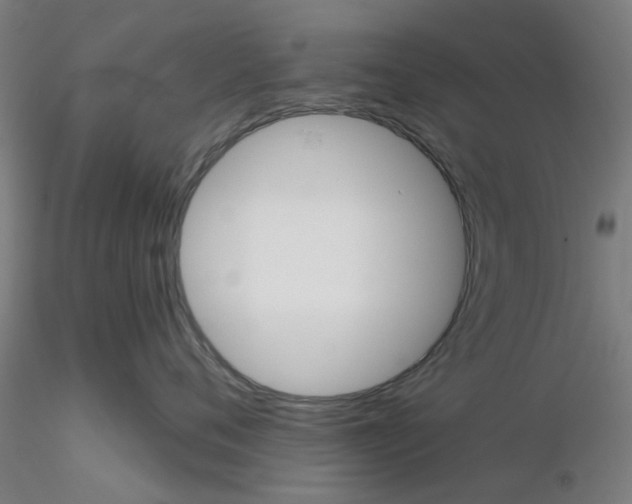 X0000116340720200912221441