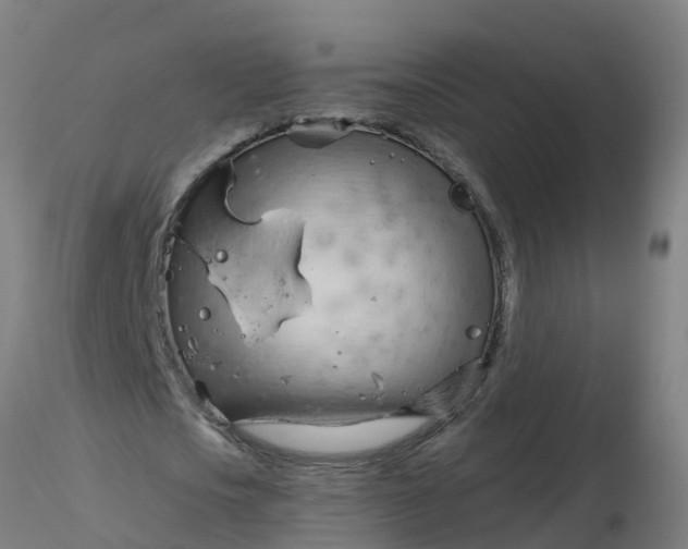 X0000116340721200912221440