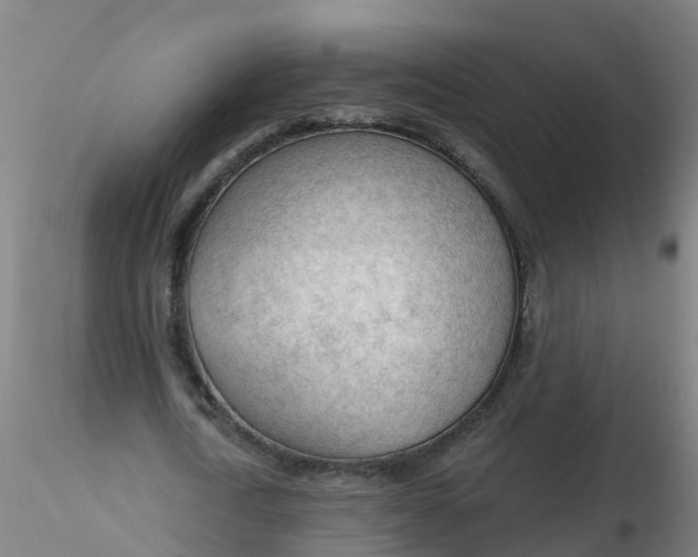 X0000116340722200912221440