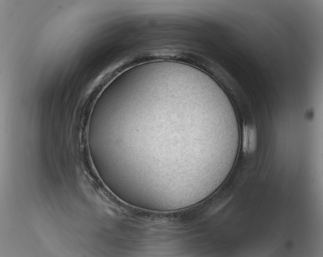 X0000116340723200912221440