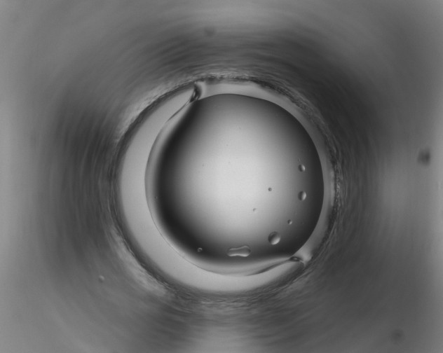 X0000116340725200912221440