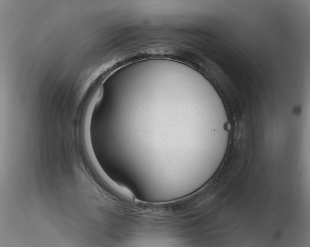 X0000116340727200912221440