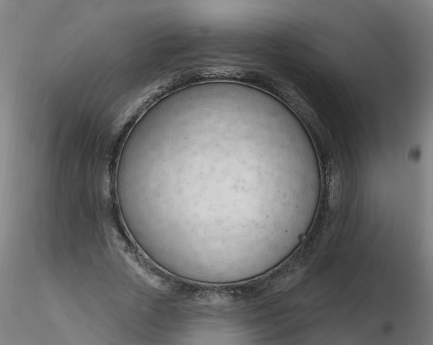 X0000116340729200912221440