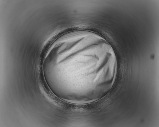 X0000116340730200912221440