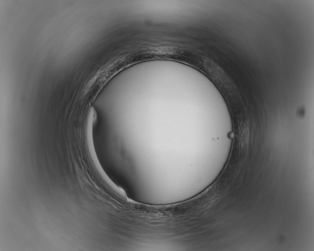 X0000116340731200912221440