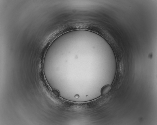 X0000116340733200912221440