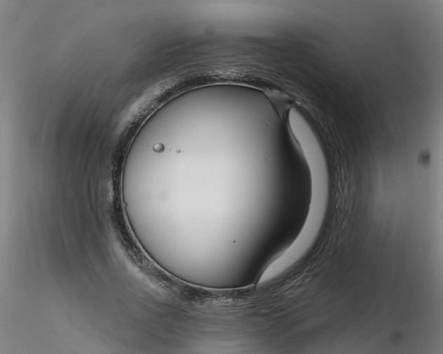 X0000116340734200912221440