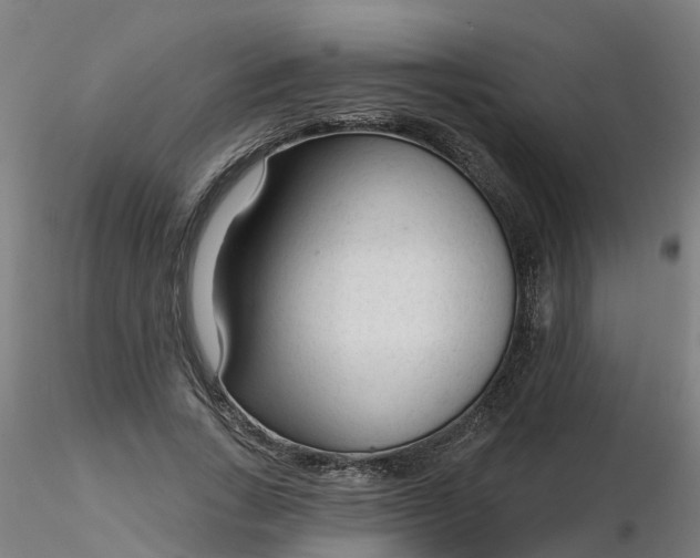 X0000116340735200912221440