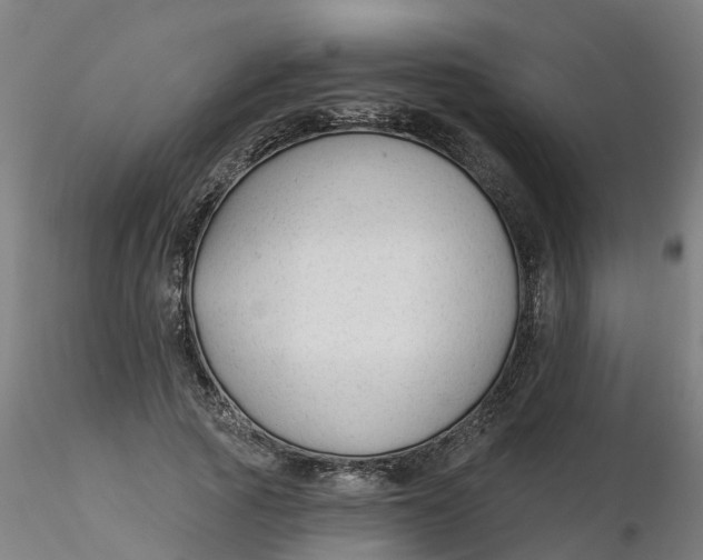 X0000116340737200912221440