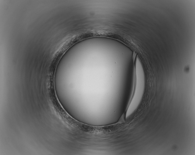 X0000116340738200912221440