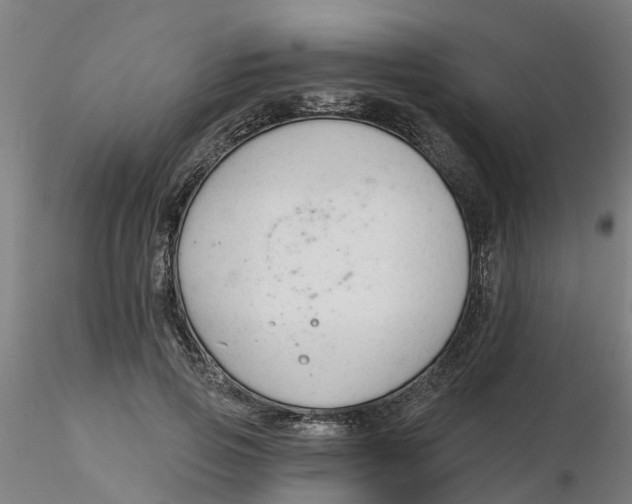 X0000116340741200912221440