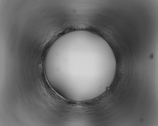 X0000116340743200912221440