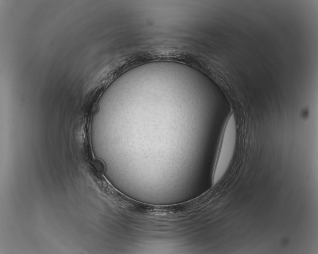 X0000116340746200912221440