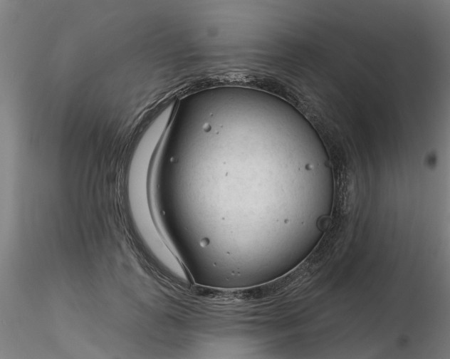 X0000116340747200912221440