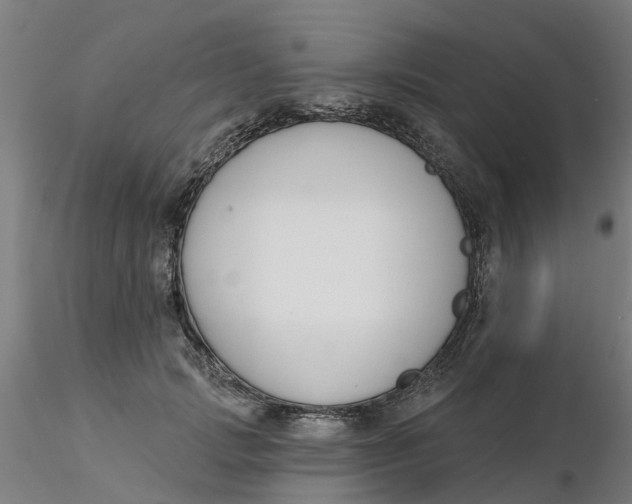 X0000116340749200912221440