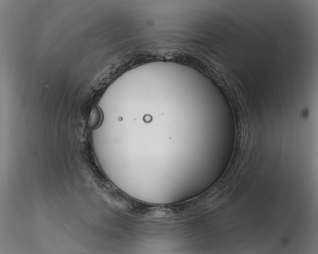 X0000116340750200912221441